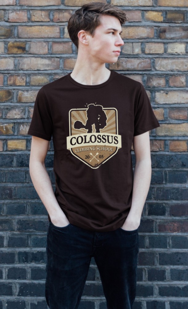 Colossus Climbing School